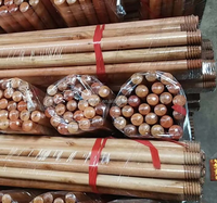 Manche de balai en bois peint de haute qualité avec poils doux, design portable, écologique et durable