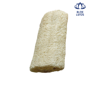 Almohadilla de fregado grande personalizada hecha en Vietnam con 100% esponjas de cocina naturales esponja vegetal orgánica de frutas y verduras - Product Image 1