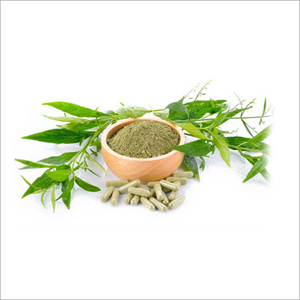 Extracto de Andrographis Paniculata Natural a Granel de Fábrica, Polvo de Extracto de Andrographis Paniculata, Extracto de Kalmegh - Product Image 1