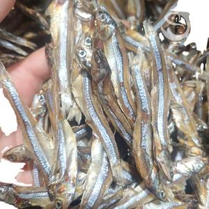 Crosse séchée meilleure vente 2023-crosse séchée du Vietnam/bébé et crosse séchée moyenne pour la nourriture/ - Product Image 4