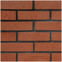Brique naturelle de qualité supérieure Brique d'argile de façade Briques de qualité supérieure pour façades extérieures et intérieures