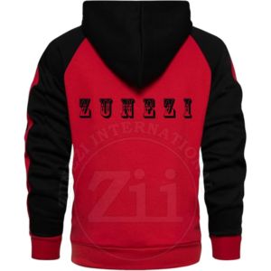 Sweat-shirts à capuche pour hommes de haute qualité, 100% coton, broderie, impression par transfert thermique, polaire épais, uni, léger - Product Image 2