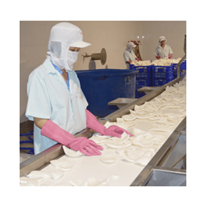 เนื้อมะพร้าวแช่แข็งจากเวียดนาม, ชิ้นมะพร้าวแช่แข็งแบบ IQF สำหรับแบรนด์สมูทตี้, ร้านโยเกิร์ต, ร้านทำซอร์เบต์ และเครื่องผสมแช่แข็ง - Product Image 2