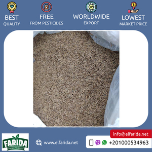 Suministro de cantidades al por mayor de Best Buy, producto de especias individuales 100% naturales y puras, semillas de alcaravea crudas secas a precio competitivo - Product Image 6