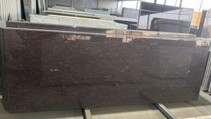 Dalle de granit Lakshmi Brown South à forte demande Design moderne Finition de surface polie pour la décoration de revêtement de sol de salon de chambre à coucher - Product Image 3