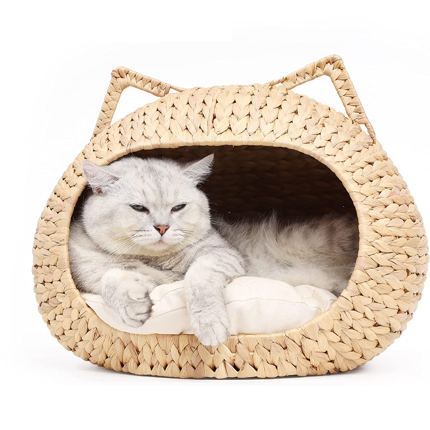 ธรรมชาติ