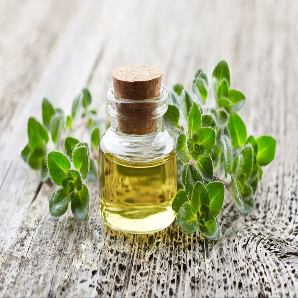 Olio di origano puro e naturale al 100% per cosmetici alimentari e qualità farmaceutica qualità impeccabile ai migliori prezzi