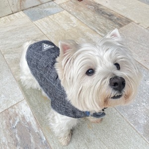 Hearts&Homies 30cm Pet Coat, Black - Product Image 6