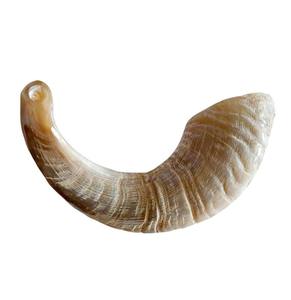 Colección Heavenly Horns Shofar de oveja religioso único con placas de cuerno Fabricado por M R S EXPORTS a precios - Product Image 4