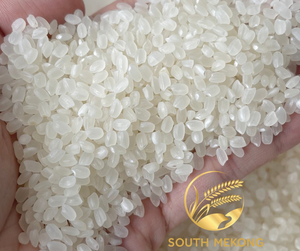 Août 2024 Livraison Sud Mékong Vietnam Japonica Long Pattern Basmati Dry Riz Esther WA + 84 981 565 210 Soft Promotion - Product Image 6