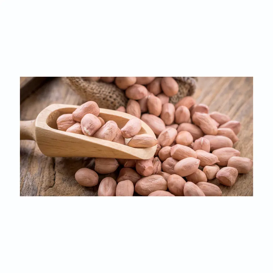 Top Mua đậu phộng java 100% tự nhiên phổ biến trồng tự nhiên khô mặt đất Nuts mua với giá rẻ đậu phộng