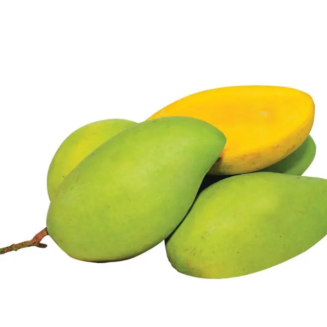 High quality FRESH MANGO competitive price from Vietnam fresh fruit ready to export contact now to get best quote