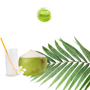 Noix de coco fraîche du Vietnam Nature Cooling Delight - Product Image 3