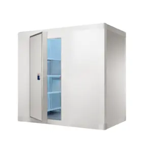 Penyimpanan dingin ruang dingin Freezer 10 ton komersial untuk ruang dingin daging 15x10x8 Tersedia dengan harga rendah dari India