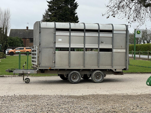 Remolque de Acero de Doble Eje para Ganado, Nuevo, en Oferta, para Transporte de Caballos, Semirremolque con Frenos Eléctricos, 3800 kg - Product Image 6