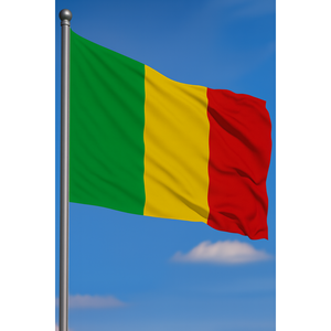 Drapeau extérieur personnalisé du Mali, techniques d'impression numérique, fanion en aluminium, nylon, polyester, affichage automobile, assurance personnalisée - Product Image 3