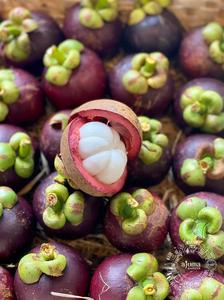 MANGOSTEEN FRESCO/MANGOSTEEN CONGELADO DE VIETNAM - Product Image 2