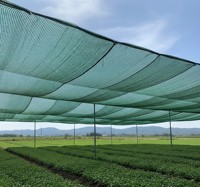 Filet d'ombrage pour la protection des cultures agricoles - Filets en plastique efficaces fabriqués en Inde
