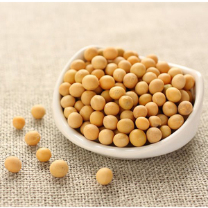 Organic Dried <b>Soybeans</b> Non-GMO High Quality Bulk Wholesale - Product Image 5