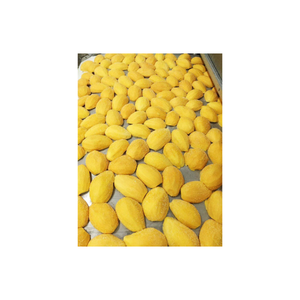 Dados de mango congelado tropical de Vietnam con sabor y aroma auténticos, la mejor opción para mezclas de frutas congeladas y listas - Product Image 6