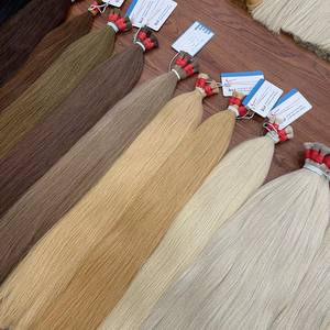 COULEUR CHAUDE!!! Couleur en vrac Extension de cheveux cheveux vietnamiens luxe qualité naturel droite Extensions de cheveux humains - Product Image 1