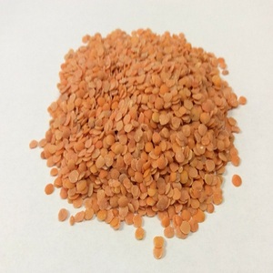 ถั่วเลนทิลแดงแบบแยกเมล็ดขายส่ง - คุณภาพพรีเมียมสำหรับขายส่ง - Product Image 6