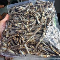 VENTE FLASH Poisson séché au lotus bleu 2025 Poisson séché propre pour restaurant et restauration