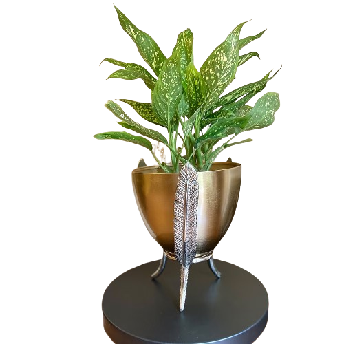 กำหนดเอง