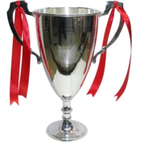 Trophée sportif moderne classique en métal argenté de haute qualité, gravé au laser, durable, avec logo personnalisé pour compétition, école, université