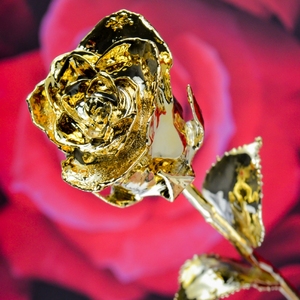 Diseño antiguo Rosa real Mejor para el día de la madre y el día de San Valentín Diseño de regalo Rosa natural de oro de 24 quilates en precio atractivo - Product Image 4