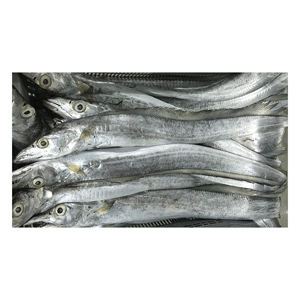 ปลาริบบิ้นสด ปลาทั้งตัว ลายจุดสีฟ้า อาหารทะเลสด ขายส่ง ปลาริบบิ้นสด - Product Image 6