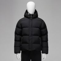 Blouson d'hiver matelassé pour homme grande taille, personnalisé OEM, en toile tricotée, avec fermeture éclair, imperméable, respirant, à capuche, chaud et rembourré de haute qualité