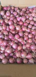 Iqf หอมแดงสีม่วงแช่แข็ง | อายุการเก็บรักษานาน | ขายส่งส่งออก - Product Image 2