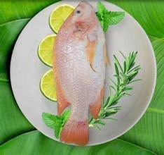 TILAPIA ROJA CONGELADA PESCADO ENTERO PREMIUM ETIQUETA LIMPIA PROTEÍNA RICA MARISCOS PARA DIETA CONSCIENTE DE SALUD - Product Image 4