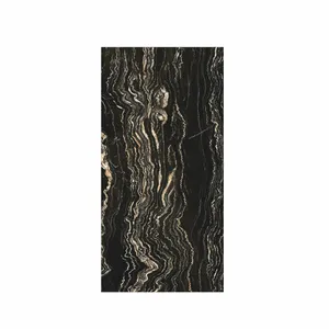 Latest Design in size 600 x 1200 mm Modern Luxury carving surface tiles with premium quality affordable price model AXIS BLACK