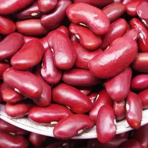 Kacang Merah Tua Non-gmo Organik Yang Dipoles Beras dan Kacang Merah Kacang Merah