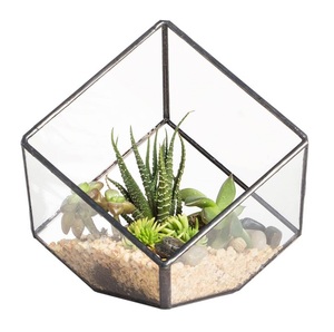 Decoración del hogar, jarrón de Terrario de cristal, mesa de cristal transparente, hecho a mano, Navidad, diseño moderno, terrario decorativo al por mayor. - Product Image 5