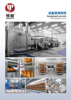 Mingshun - Machine à rôtir au gaz à haut rendement énergétique pour ailes de poulet, dinde et canard - Vente chaude