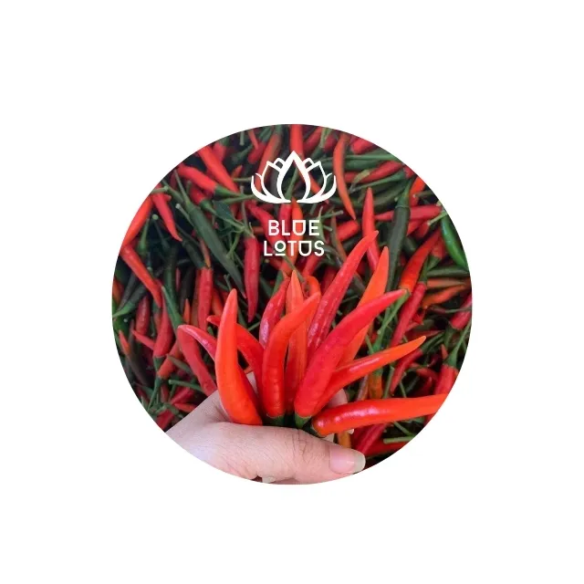 La più venduta purea di peperoncino rosso schiacciato originale vietnamita Premium della fattoria di loto blu con verdure