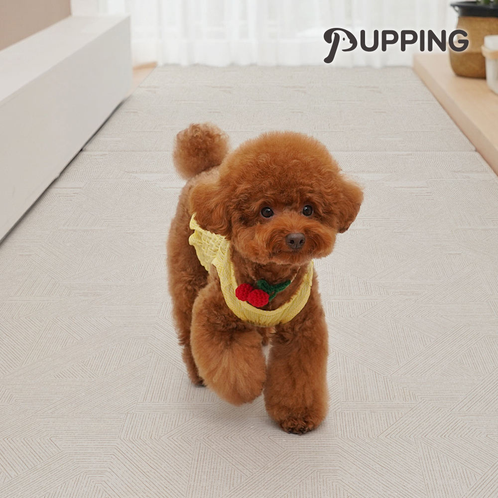 ไม้มะพร้าว