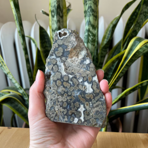 Pyrite naturelle sur tranche d'<span class=keywords><strong>agate</strong></span> d'Indonésie, spécimen de cristal scintillant 'Or des fous', <span class=keywords><strong>agate</strong></span> unique pour la décoration intérieure et la collection de minéraux - Product Image 4