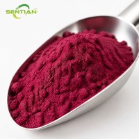 Poudre de jus de betterave (nitrate) Poudre de betterave rouge de qualité alimentaire Nitrate naturel Vente en gros en vrac Fournisseur d'usine