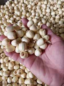 GRAINES DE LOTUS NATURELLES SÉCHÉES | NETTOYÉES ET POLIES | EXPORTATION EN VRAC | OEM DISPONIBLE - Product Image 3