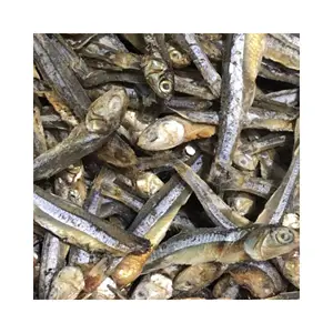 Best supplier for bulk Stock Available Of Dry seafood Dried Salted Anchovy/ dried anchovy fish Ms Elysia 0084789310321