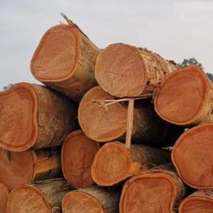 บันทึกไม้เนื้อแข็ง Sapele พรีเมี่ยมสำหรับขาย Sapele logs พรีเมี่ยม - Product Image 1