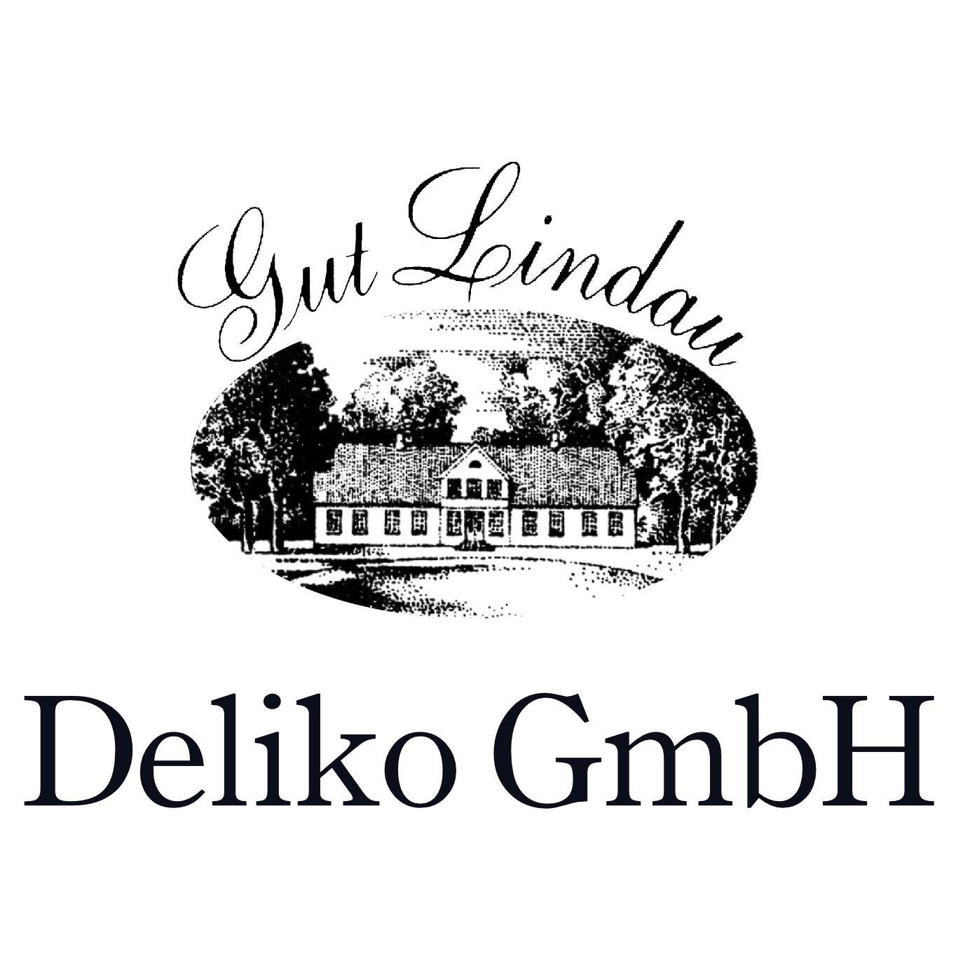 Deliko GmbH logo