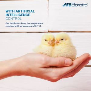 Incubadoras Automáticas Profesionales Borotto Real 24 para Huevos de Gallina, Italia, Incubadora Automática para 24/96 Huevos en Venta - Product Image 6