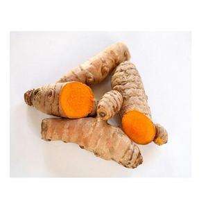 ขมิ้นสดออร์แกนิคคุณภาพสูงจากเวียดนาม ราคาถูกที่สุด  ลดราคาพิเศษ - Product Image 3