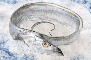 Roman troops ริบบิ้นแช่แข็งคุณภาพสูงปลาทะเลที่ดีที่สุดอายุการเก็บรักษา24เดือน meerut อินเดีย - Product Image 6