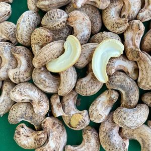 Alta calidad Santigo Factory Vietnam W240 A180 W320 anacardos orgánicos embalaje personalizado - Product Image 1